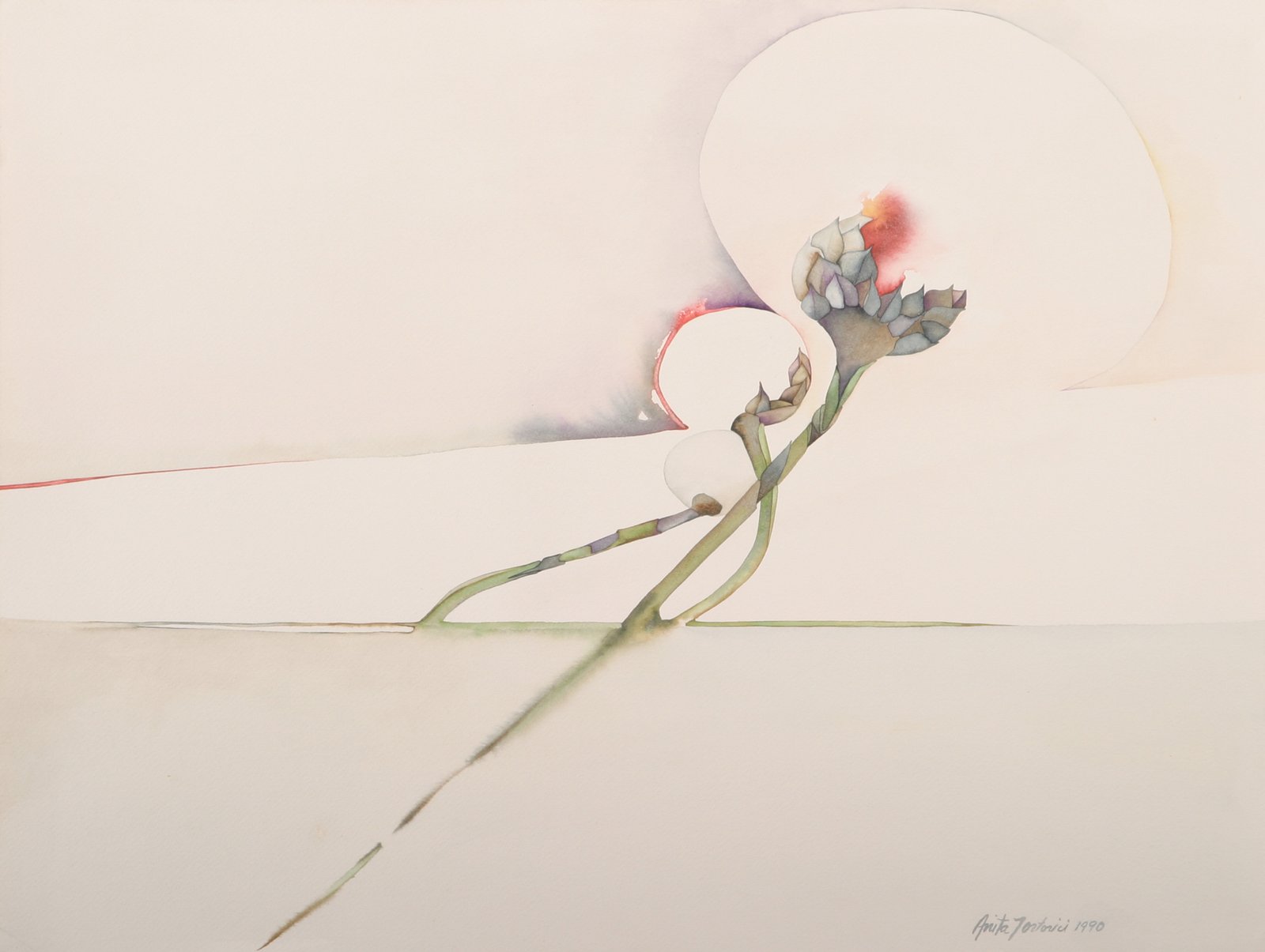 Watercolor study of a flowering stem by Anita Tortorici